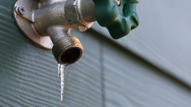 Best Plumbing Repair Near Me  in Bellevue, KY